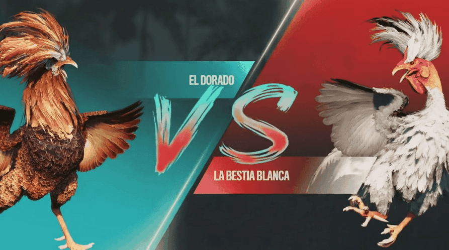 tojogo
